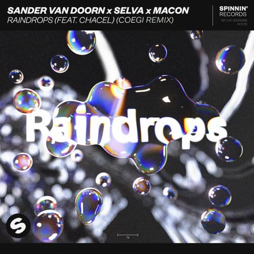 Sander van Doorn x Selva x Macon (feat. Chacel) - Raindrops (Coegi Remix)